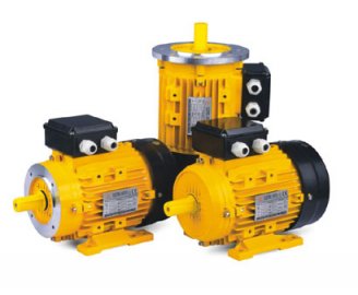 Motor for pool pump